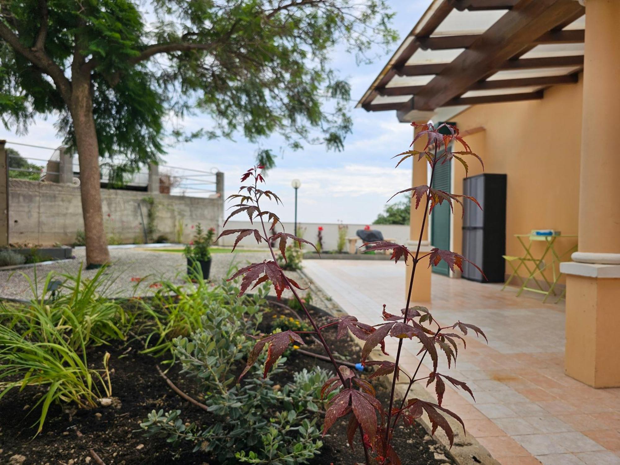 Avocado Villa Ventimiglia Kültér fotó